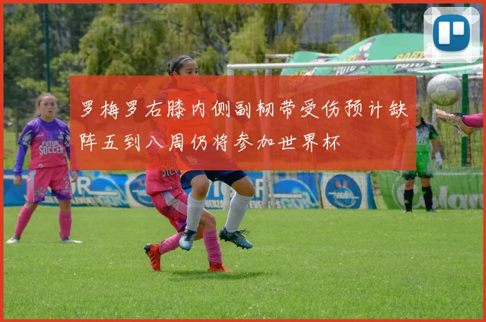 罗梅罗右膝内侧副韧带受伤预计缺阵五到八周仍将参加世界杯