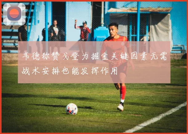 韦德称赞戈登为掘金关键因素无需战术安排也能发挥作用