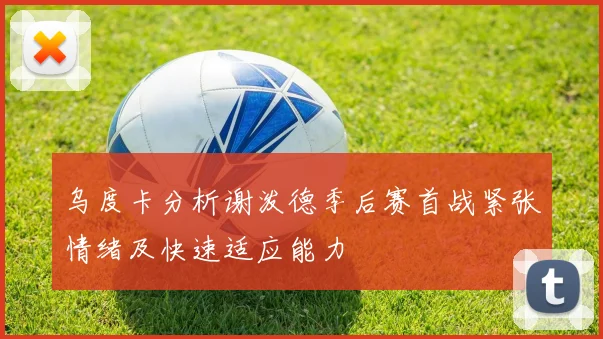 乌度卡分析谢泼德季后赛首战紧张情绪及快速适应能力